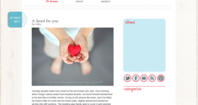 Screenshot of Akai premium theme